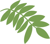 Piktogramme_Eberesche_frei