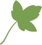 Piktogramme_Feldahorn_frei